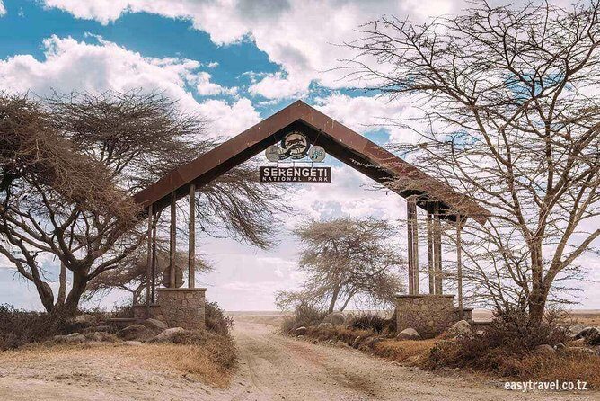 6 days 5 nights safari Ngorongoro, Serengeti and Tarangire National Parks - Practical Details for Travelers