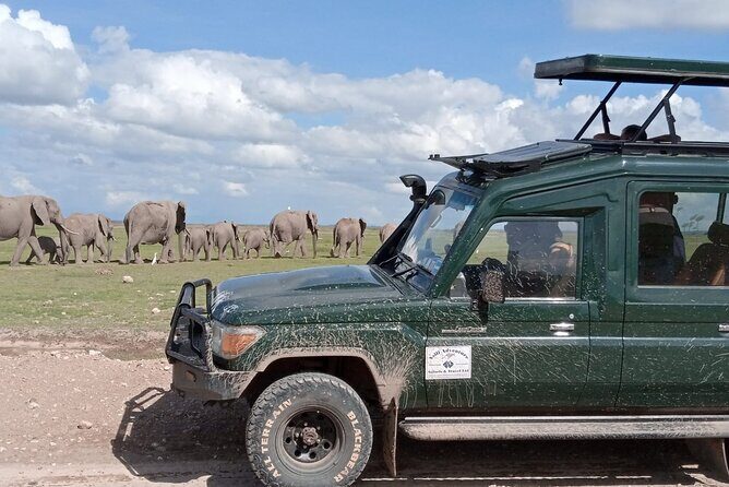 6 Days Amboseli,Lake Naivasha and Masai Mara Safari - Real Experiences and Insights