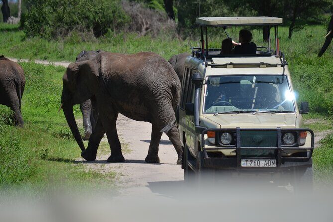 6 Days best adventure kilimanjaro ,Tarangire ,Serengeti &Ngorongoro crater - Who Will Love This Tour?