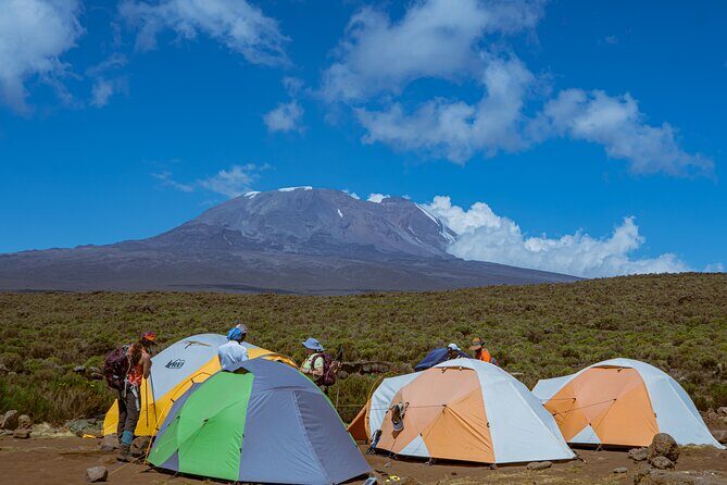 6 Days Climb Private Tour in Mount Kilimanjaro - What Makes This Tour Stand Out?