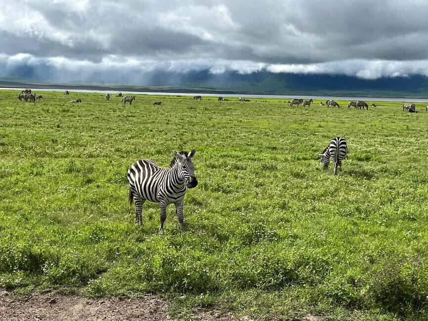 6 Days Discovery Safari In Tanzania