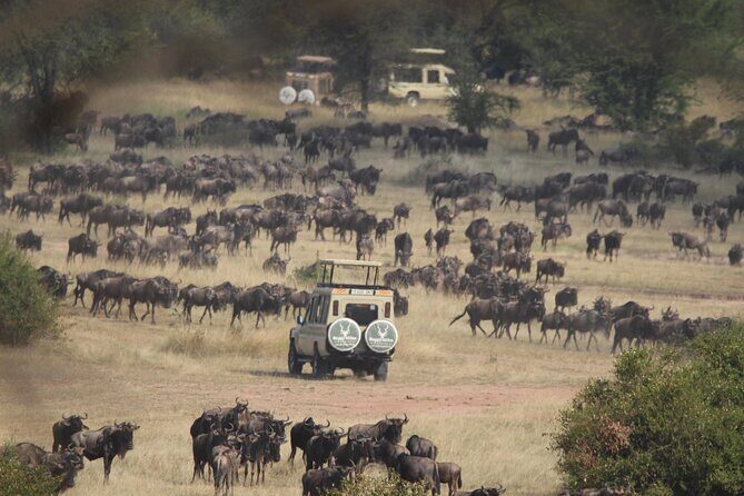 6 Days Enchanting Tanzania Safaris - Mid Range Safari - What You Can Expect from the Itinerary