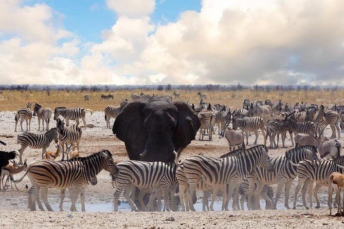 6 DAYS ETOSHA,SWAKOPMUND & SOSSUSVLEI- NAMIBIA (Lodging) - Who Should Consider This Tour?