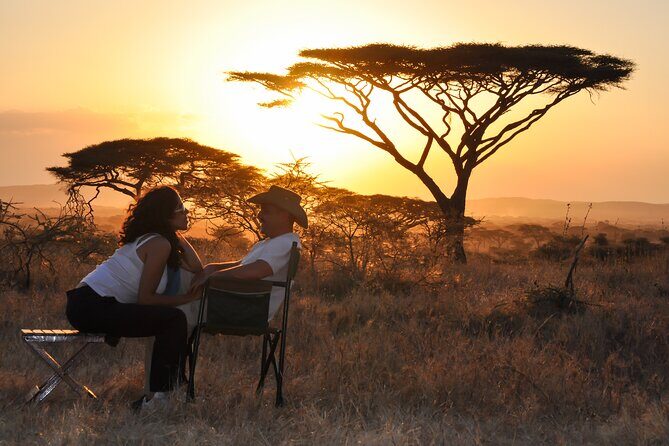 6 Days in the Wild  A Budget Safari Across Tanzanias Icons - Day 3: Full Day in Serengeti