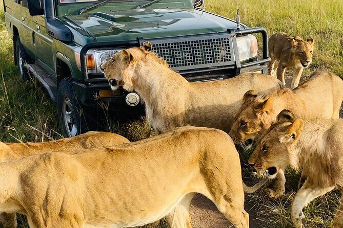 6 Days Kenya Budget Group Safari - Authentic Insights from Travelers