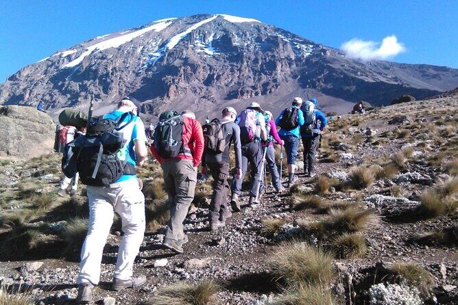 6 Days Kilimanjaro Climbing Machame route - What Travelers Say: Authentic Perspectives