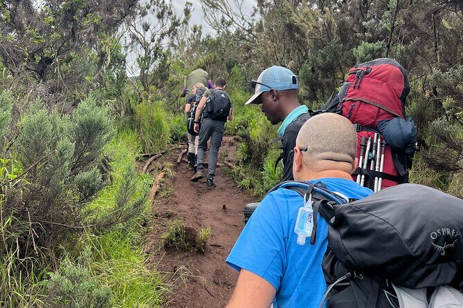 6 Days Kilimanjaro Climbing Marangu Route - The Itinerary in Detail