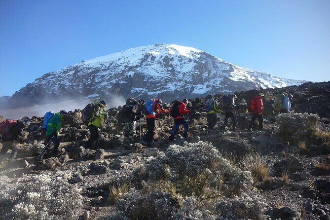 6-Days Kilimanjaro Climbing via Rongai Route - Final Thoughts: Is This Tour Right for You?
