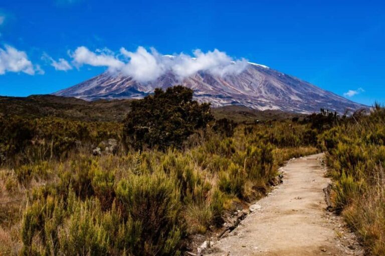 6 Days Kilimanjaro Machame Route - Value and Practicality: What You Get for $2,629