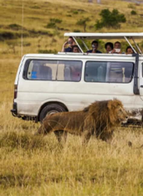 6 Days Lake and Bush Safari - Lake Naivasha and Masai Mara - What’s Included and What’s Not?