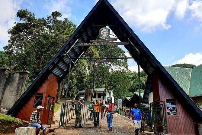 6 Days Machame Route Hike - The Itinerary Breakdown
