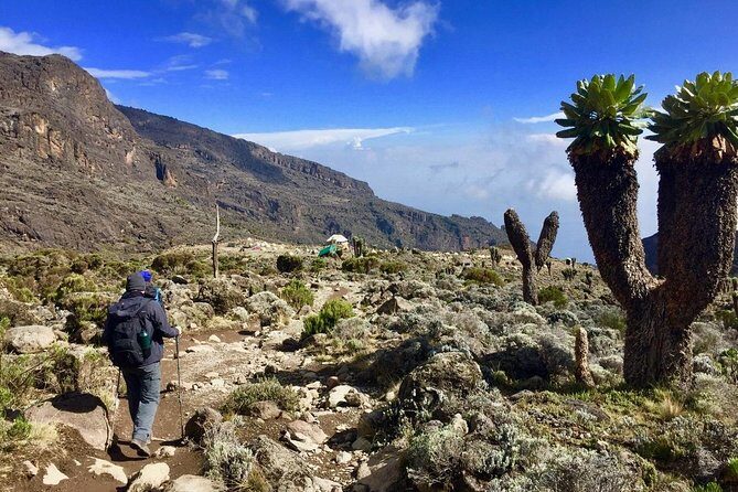 6 Days Machame Route Kilimanjaro Trekking - What Makes This Tour Stand Out?