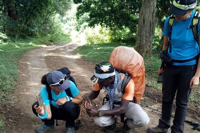 6 Days Machame Route - An In-Depth Look at the 6-Day Machame Route