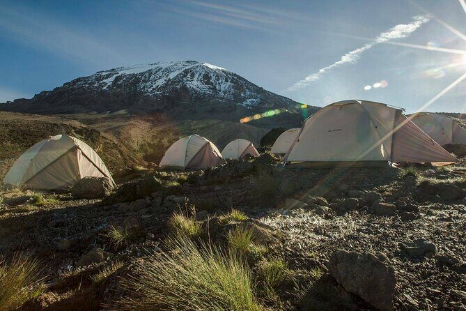 6 Days MARANGU ROUTE (Kilimanjaro Trekk) - What Sets This Tour Apart