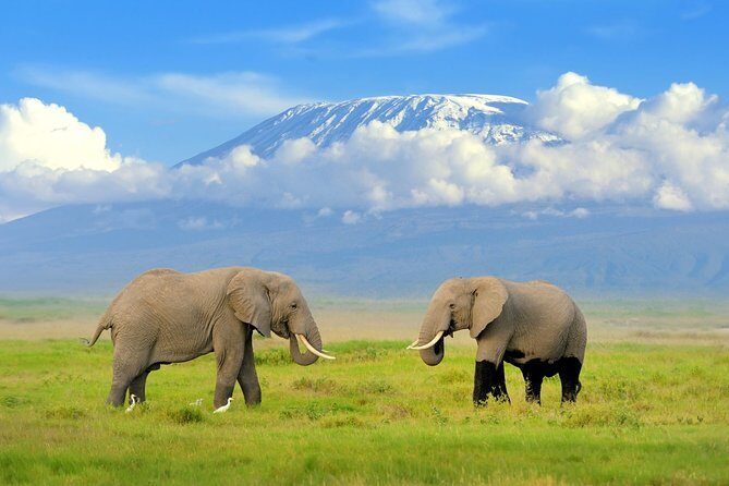 6 Days Masai Mara-Nakuru-Amboseli - Lodge Safari-Private 4X4 JEEP - Final Thoughts