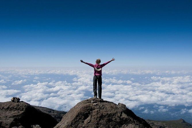 6 Days Mount Kilimanjaro Trek Marangu Route - The Itinerary in Detail