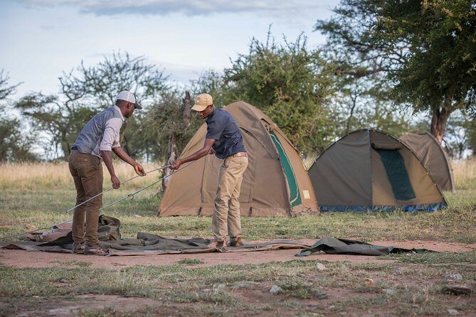 6 Days Private Budget Safari - Day 3: Exploring the Serengeti