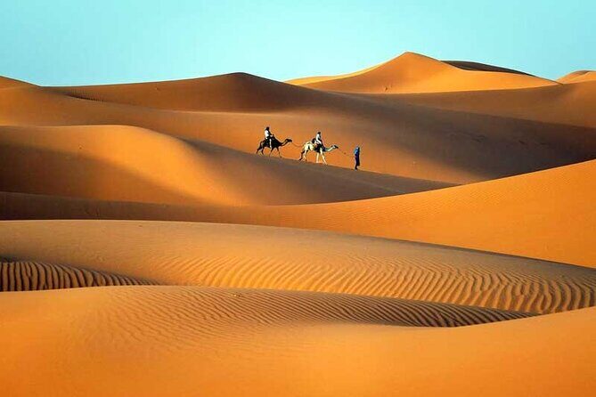 6 Days Private Tour From Fes to Marrakech - Day 4: The Rose Valley and Ouarzazate – Films and Fragrant Gardens