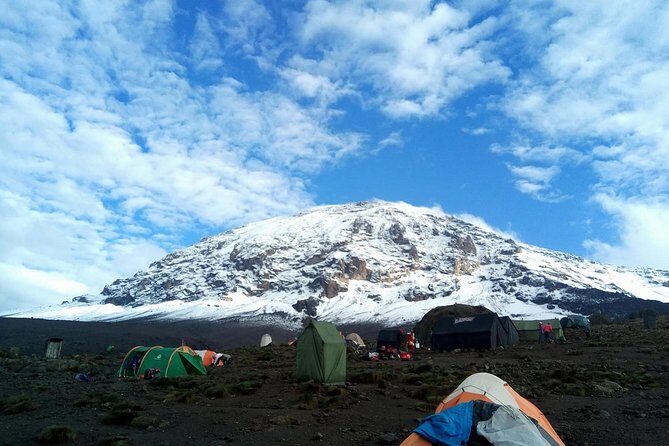 6 Days Rongai route climbing Mt.Kilimanjaro - Why This Tour Offers Good Value