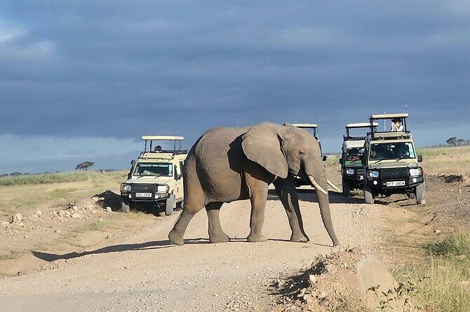 6 Days Safari Tour in Amboseli, Tsavo West and Tsavo East - The Practical Side: What to Expect