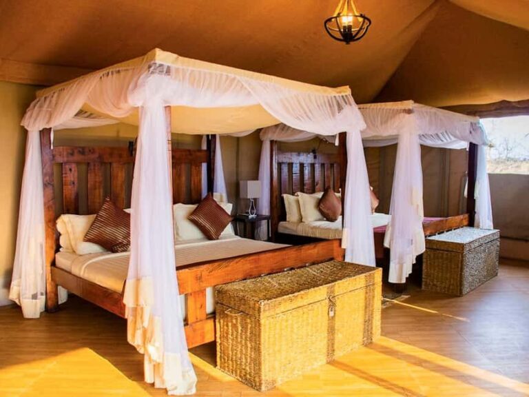 6 Days Serengeti Migration Safari Experience - What’s Included & Whats Not