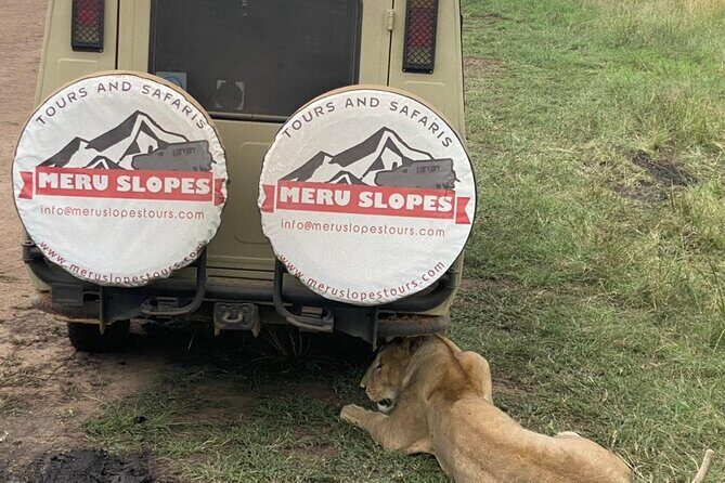 6 Days Tanzania Budget Camping Safari with Migration - Breakdown of the Itinerary: Day-by-Day