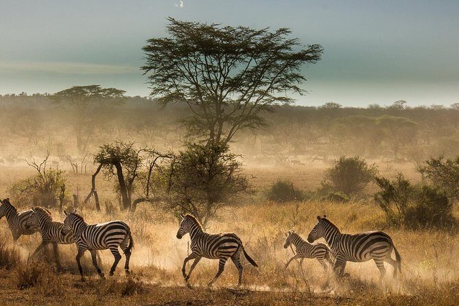6 Days Tanzania Budget Camping Safari - Practicalities and What to Expect
