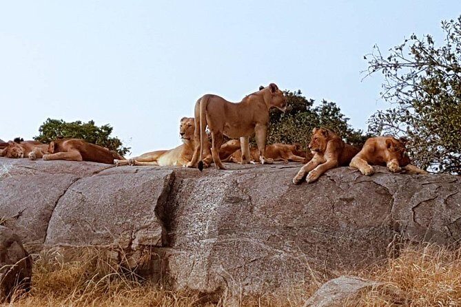6 Days Tanzania Classic Safari - What You’ll Love About the Itinerary
