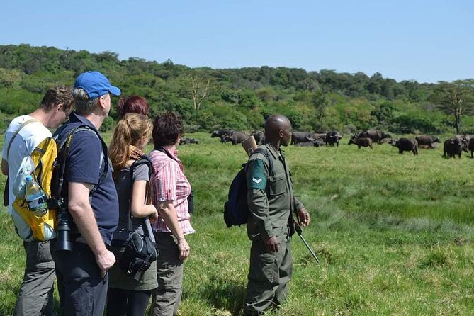 6 Days Tanzania Luxury Safari Tour - The Experience of Guides and Wildlife