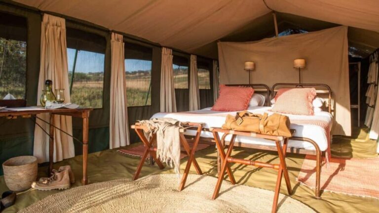 6 days Tanzania Safari & Cultural tour, wildlife wonder - Who Will Love This Tour?