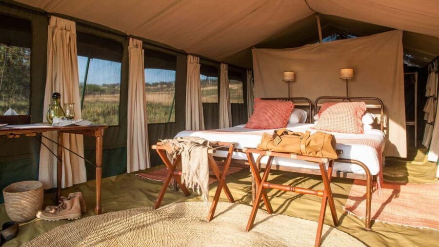 6 days Tanzania Safari & Cultural tour, wildlife wonder - Who Will Love This Tour?