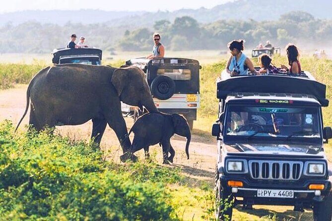 6 Days Tour of Sri Lanka - What Travelers Say