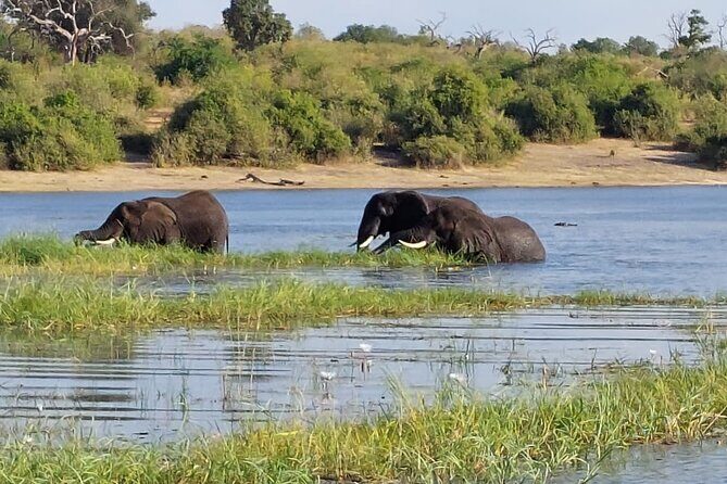6 Days Victoria Falls Chobe Wildlife and Okavango Delta Tour - Authentic Experiences and What Travelers Say
