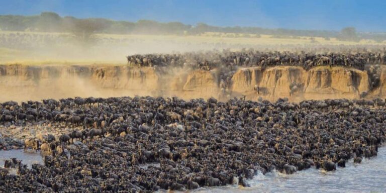 6Days Ol Pejeta, Aberdare, Lake Nakuru and Masai Mara Safari - The Itinerary Breakdown