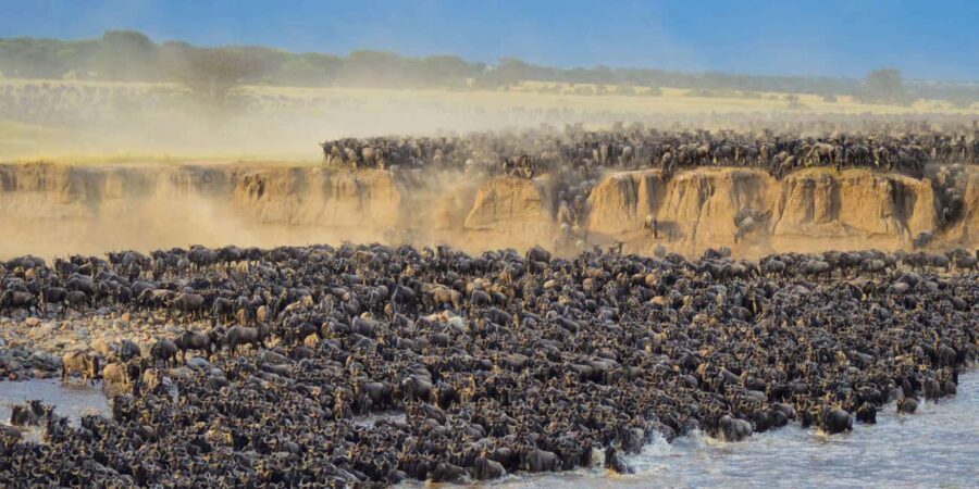 6Days Ol Pejeta, Aberdare, Lake Nakuru and Masai Mara Safari - The Itinerary Breakdown