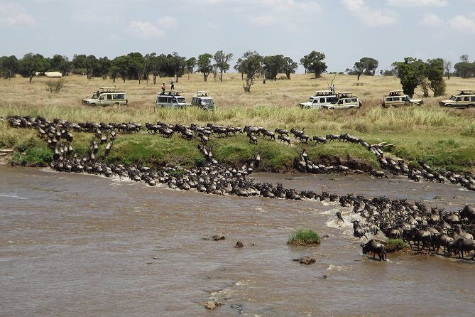 7-Day Great Migration Safari - Practical Considerations