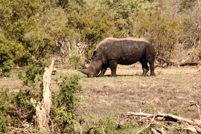 7 Day Guided Safari Tour in Kenya and Tanzania - The Value of the Experience