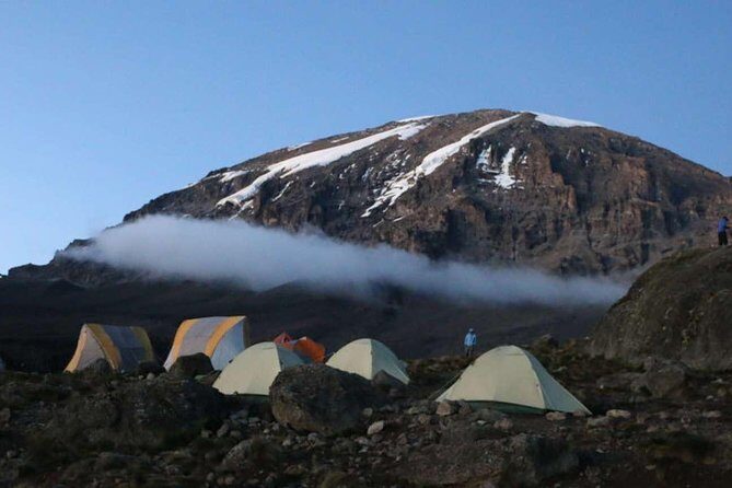 7-Day Kilimanjaro Climb Machame RouteThe Best Path to Uhuru Peak - The Value of This Tour