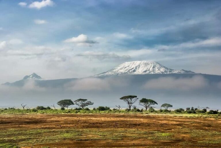 7-Day Lemosho Route Mt.Kilimanjaro Trek Budget Experience - The Summiting Experience