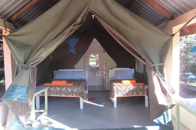 7-Day Maasai Mara Nakuru Lake Naivasha and Amboseli Safari - Practical aspects and helpful tips