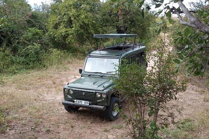 7 Day Safari To Selous, Mikumi and Ruaha National Parks + transfers - What the Experience Means for You