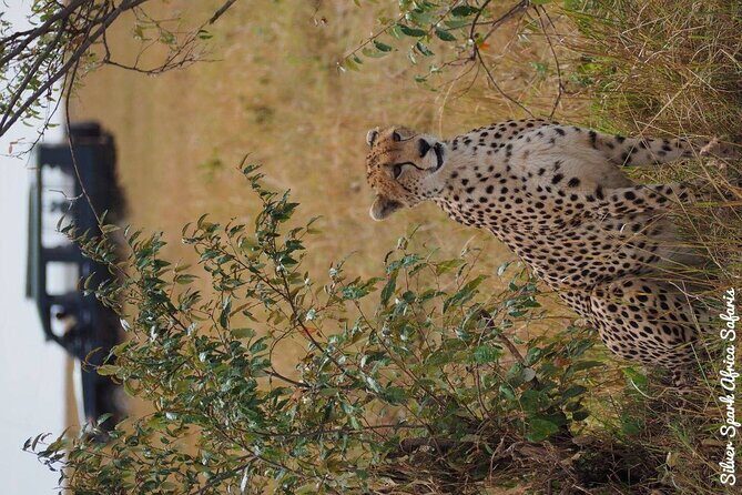 7-Day Samburu, Maasai Mara, L Nakuru, Lake Naivasha Hell's Gate - What Makes This Tour Stand Out?