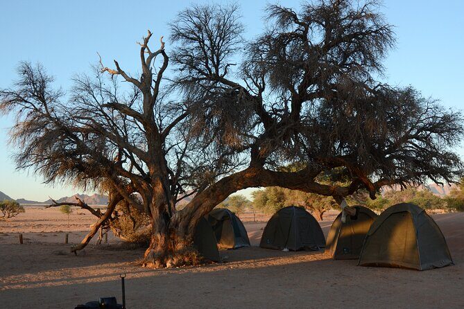 7 Day Southern Namibia and Sossusvlei Camping Safari - What’s Included and What’s Not