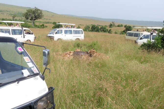7 Days Amboseli-Lake Naivasha-Lake Nakuru & Masai Mara - Who Is This Tour Best For?