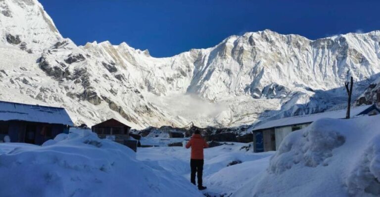 7 Days Annapurna Base Camp Trek: Customized Trip Itinerary - What’s Included and What’s Not