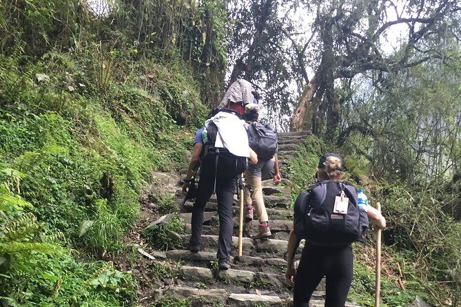 7 Days Annapurna Base Camp Trek from Pokhara - The Itinerary Breakdown