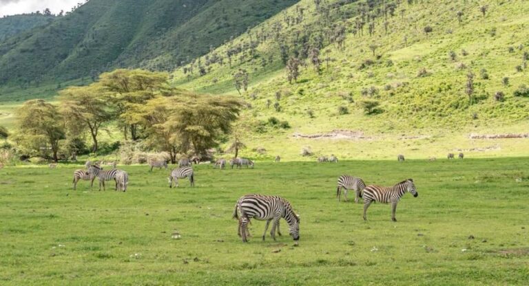 7 Days Big Five Safari to Tarangire, Serengeti & Ngorongoro - What Makes This Tour Stand Out?
