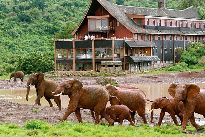 7 Days Breathtaking Kenya Wildlife Private Safari - What Travelers Can Expect