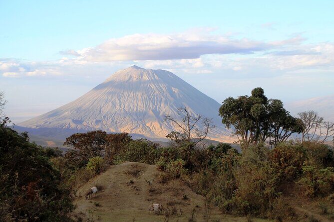 7 Days Cultural and Wildlife Safari - What the Reviews Say