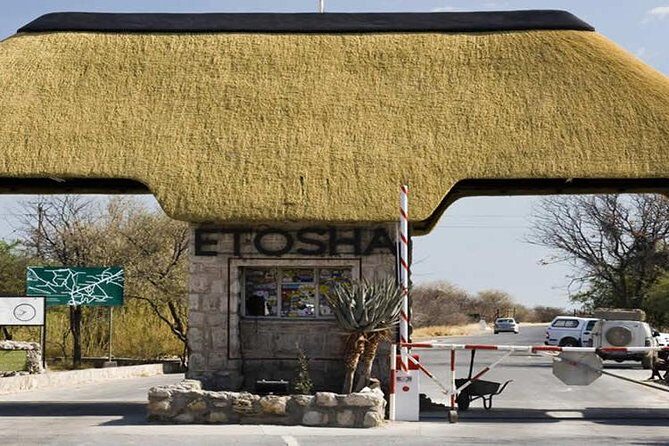 7 Days-Desert adventure, Swakopmund & Etosha Lodging Tour - Analyzing the Value